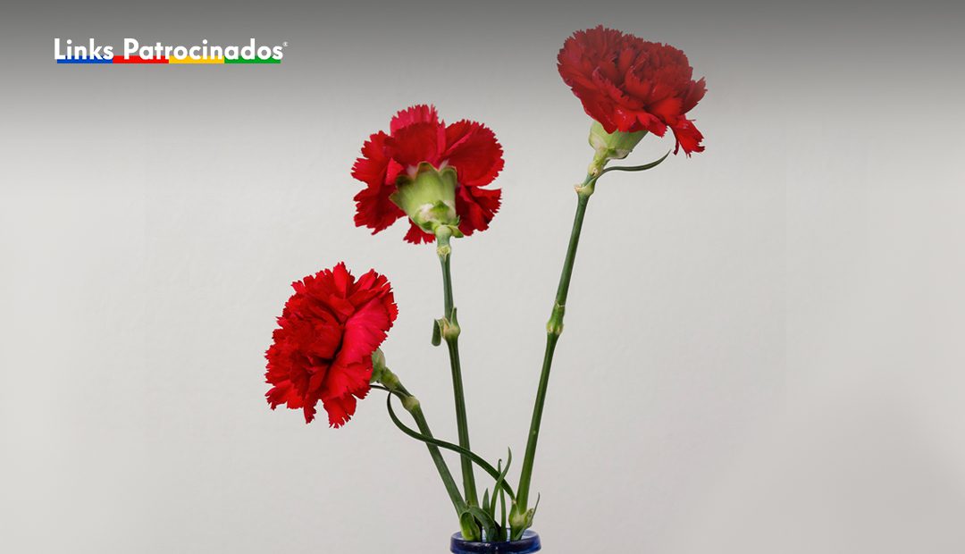 Links Patrocinados - Agência de Publicidade e Marketing Digital | Dia da Liberdade