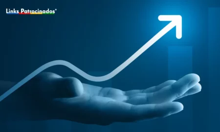 Google Partner Premier - Links Patrocinados Agência Marketing Digital - SEO